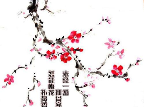 写梅花的比喻句