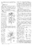 描述安静的比喻性句子