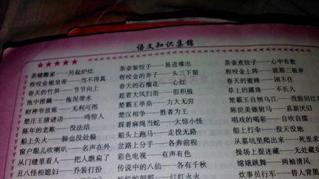 100条数字寓言