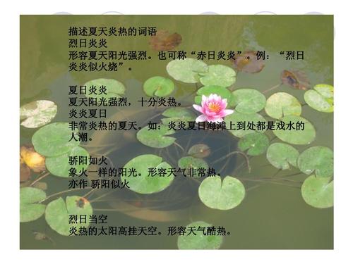 一个描述炎热夏天的成语