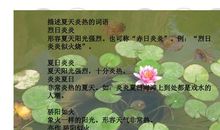 描写夏天很热的成语