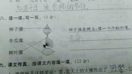 在句子中使用喜欢和喜欢