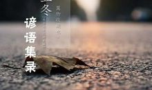 关于二十四节气的谚语