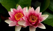 守望幸福的句子