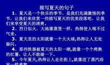 描写夏天的词语句子