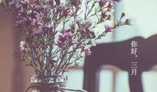 2018经典社会句子