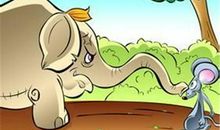 大象呼吸歇后语