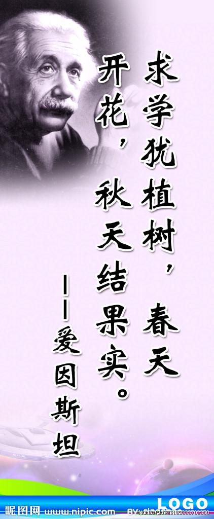 尝试了解谚语
