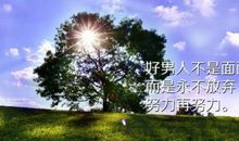 努力不放弃的句子