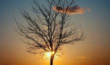 阳光透入我的眼睛，告诉了我并不孤单