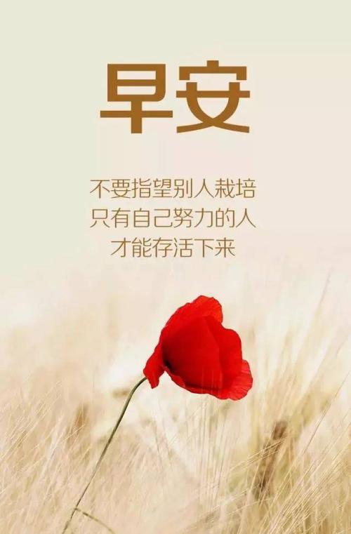 销售句