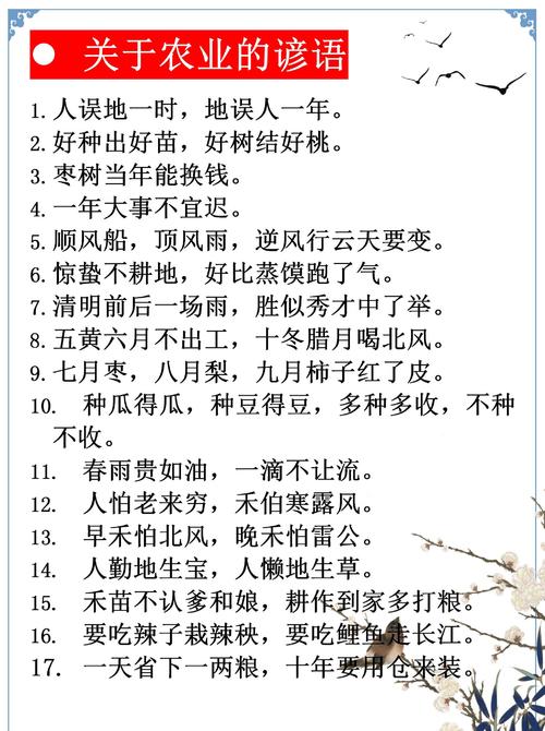 30句谚语