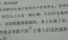 写兔子的比喻句