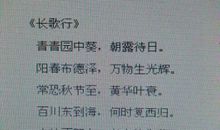 描写读书认真的句子