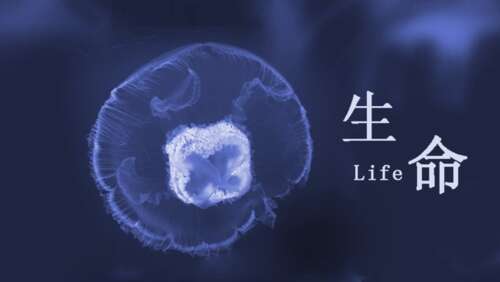 安慰失去亲人的朋友