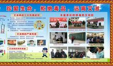 学校禁毒防艾宣传标语