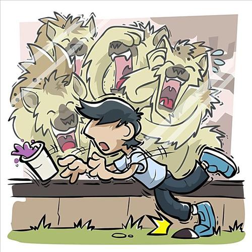 谚语与狼