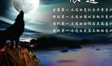 含有狼的谚语
