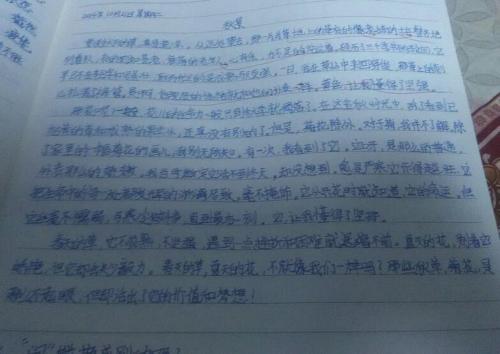 关于四个季节的谚语