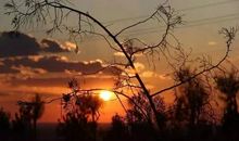 父母老了我心酸了句子