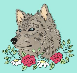 谚语包含单词wolf