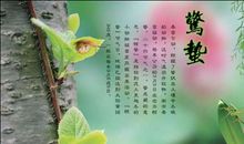 关于动物或植物的谚语