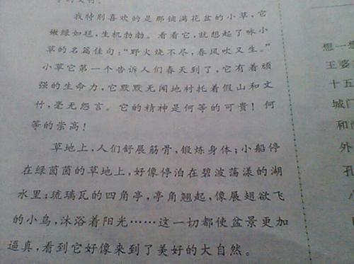 拟人短文