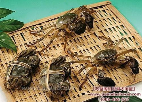 四两棉八弓寓言词
