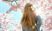 人生感悟的句子图片:因为看清了,也就看轻了