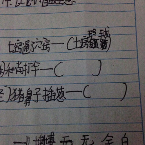 关于葱的谚语