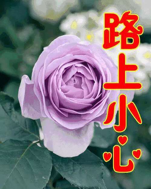9月9日加持