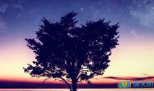 夜晚的描写句子