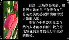 30岁人生感悟的句子:带着自己的梦,以一种骄傲的姿态走下去