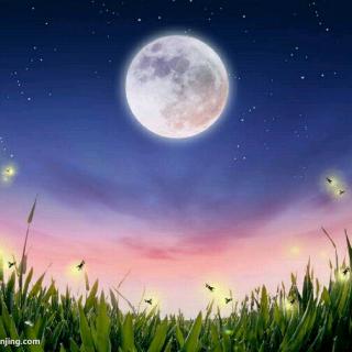 仲夏夜的句子