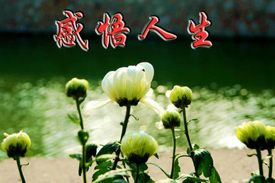 关于生活的审美观的经典句：生活中重要的是找到非常湿的雪和很长的斜坡