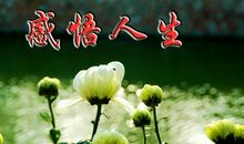 唯美感悟人生的经典句子:人生重要的是找到很湿的雪和很长的坡