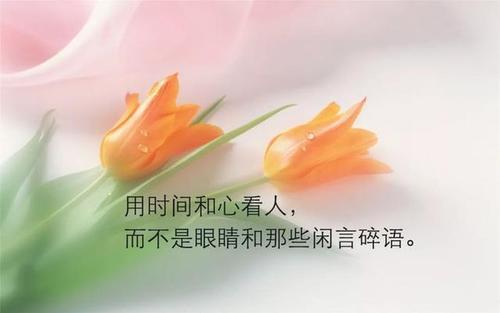 幽默经典句子
