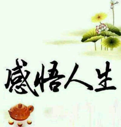 关于生活的审美观的经典一句话：生活中重要的是找到非常潮湿的雪和很长的斜坡1