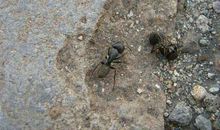 描写失去爱人的句子