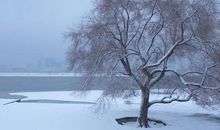 冬天的问候短信