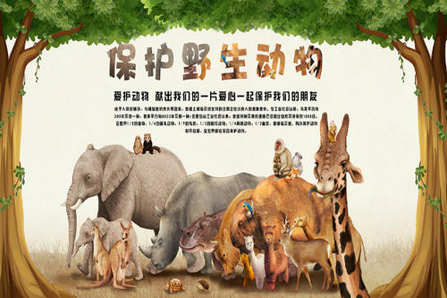 动物保护口号