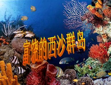 珊瑚的隐喻