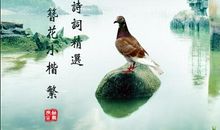 描写浪漫爱情的诗句