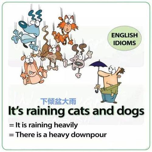 谚语表达独特