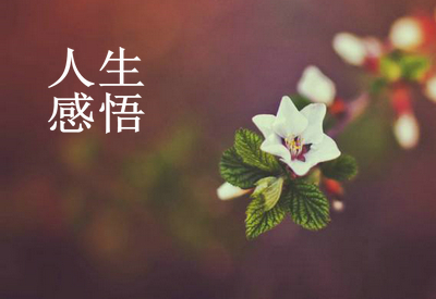 人生感悟的句子特征：比起人生领先一步，比人生领先一步
