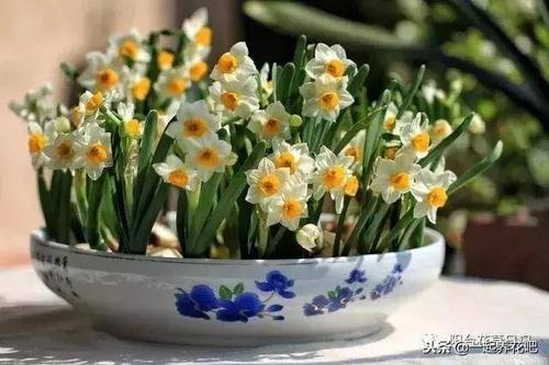 谨慎的谚语