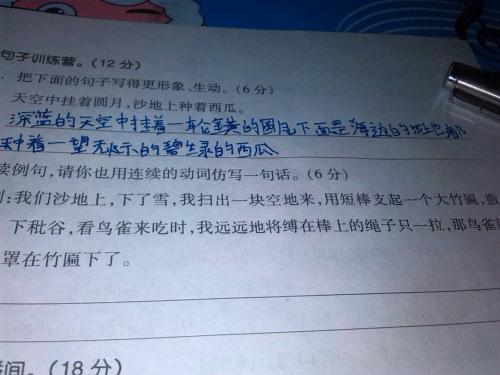 网络中的一句话