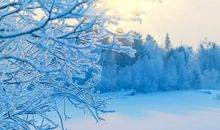 有关自然景物的诗句