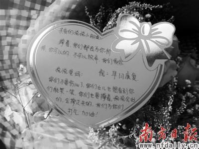 给女孩的问候