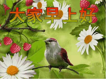 早安励志祝福